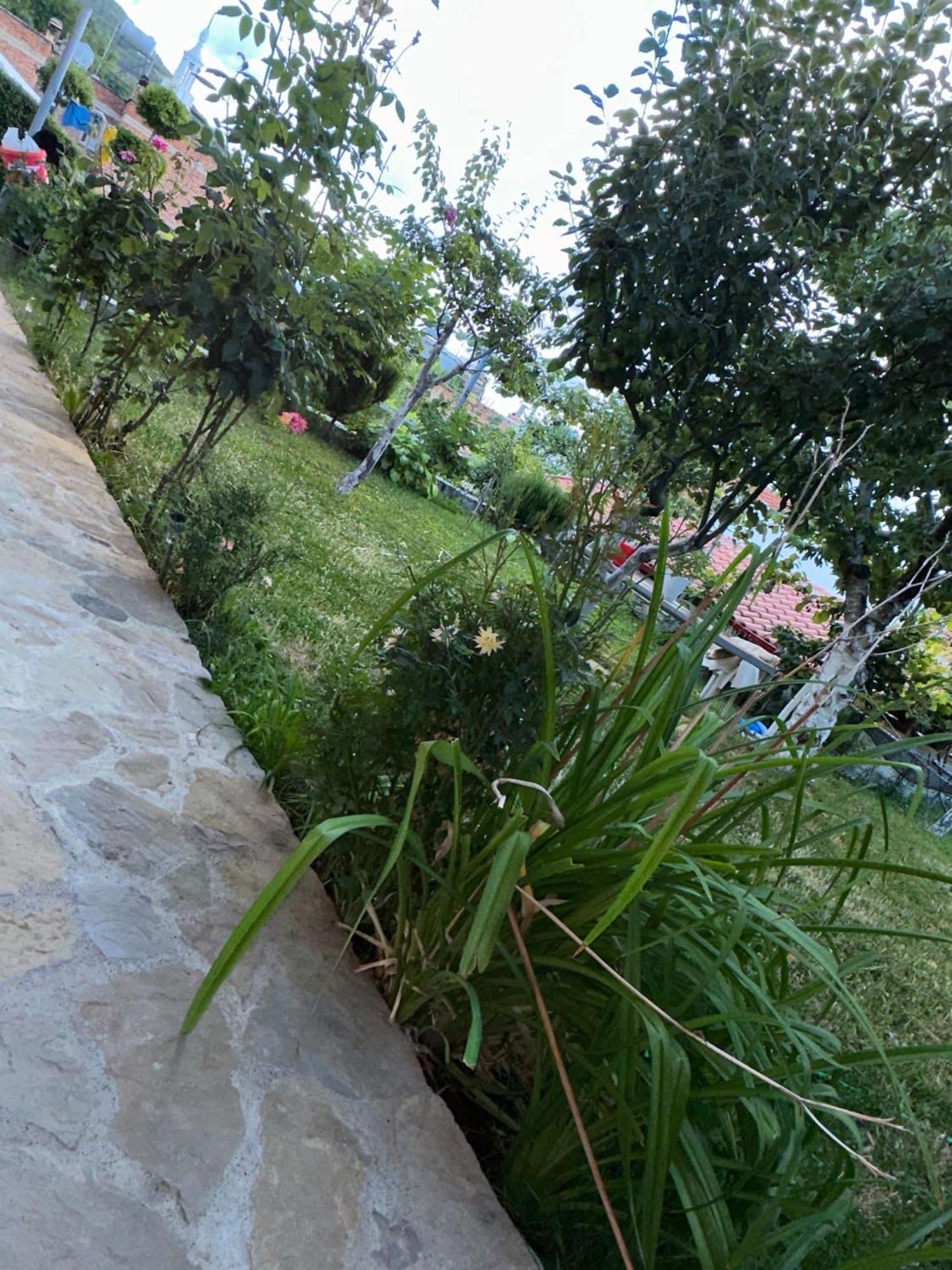Villa Gardenhouse Memlishte Esterno foto