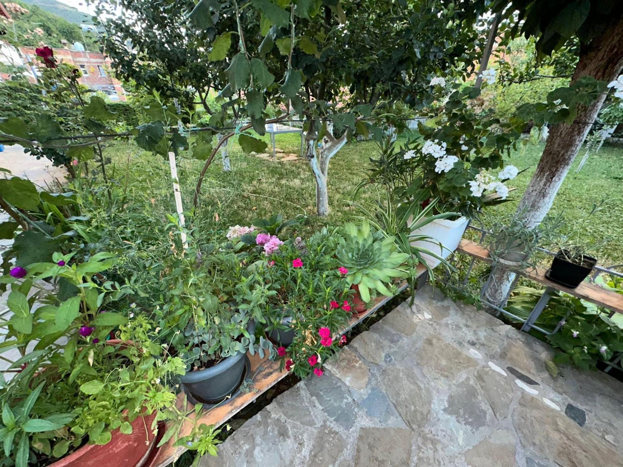 Villa Gardenhouse Memlishte Esterno foto
